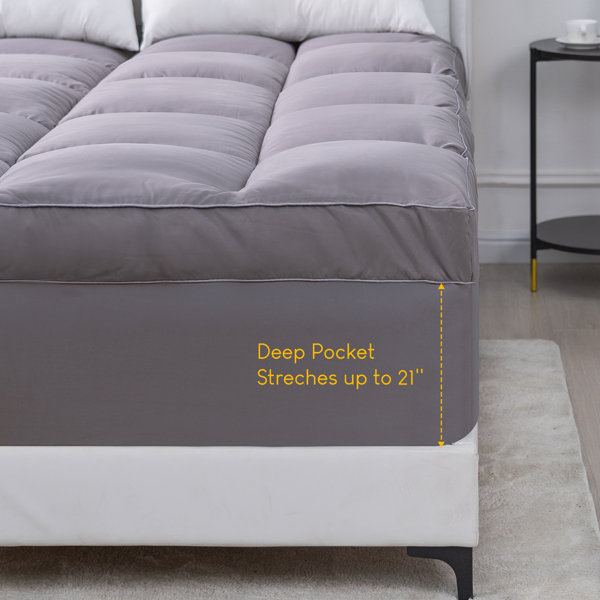 Alwyn Home Slaton 4'' Down Alternative & Reviews Wayfair